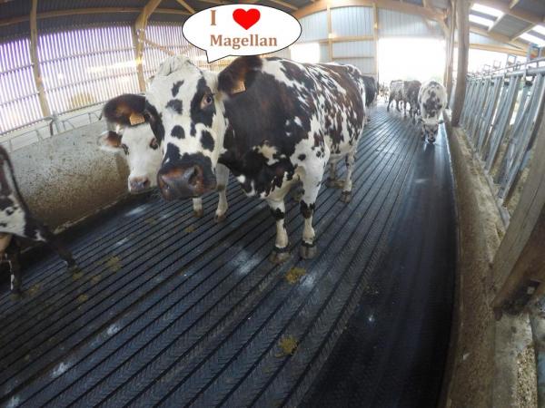 vache laitière tapis magellan caoutchouc - Bioret Agri 