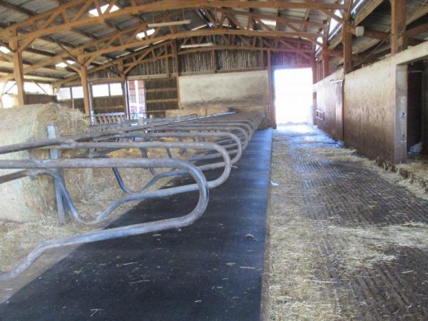 Altea cubicle rubber in dairy barn - Bioret Agri 