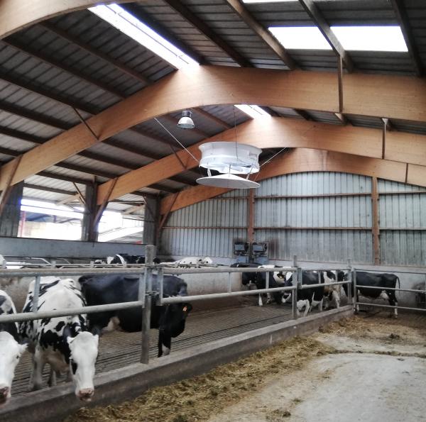installation ventilateur Cyclone 360 haute vitesse élevage bovins - Bioret Agri 