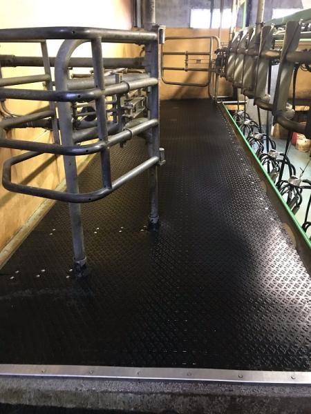 Caoutchouc delta diam salle de traite élevage laitier - Bioret Agri 