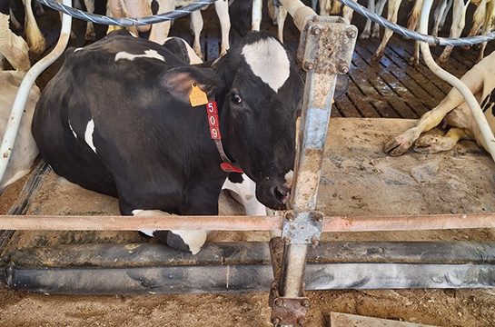 Confort de couchage avec Aquaclim