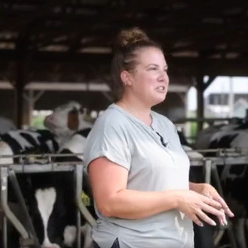 Франклин Видовые рамки, Delta диам. 16